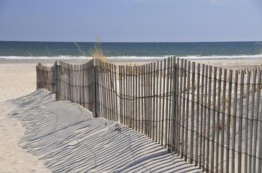 Wildwood Dog Beach - NJ