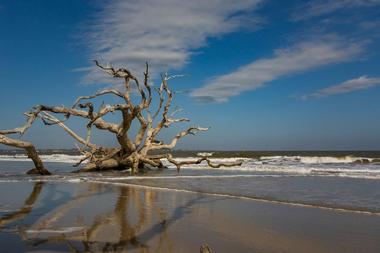 Jekyll Island - GA