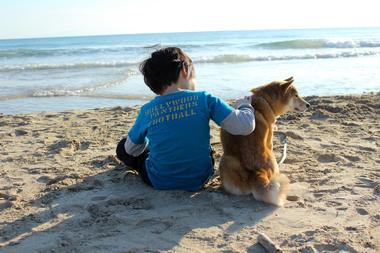 Montrose Dog Beach - IL