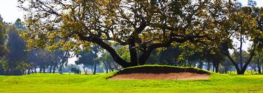 Willowick Golf Course