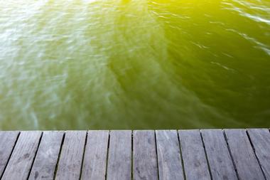 Lake Lurleen State Park