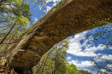 Natural Bridge Park