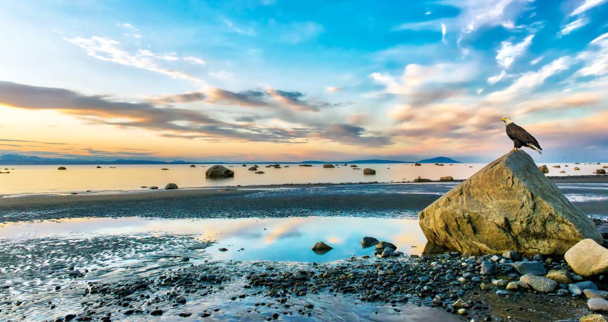 Alaska Beaches