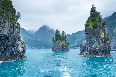 Kenai Fjords