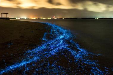 Vaadhoo Island, Maldives