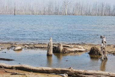 Cane Creek State Park