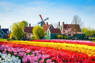 Holland