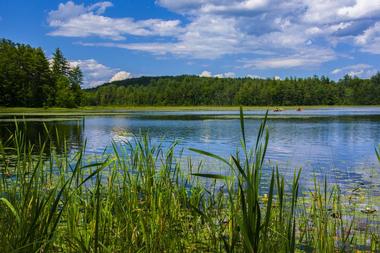 New Hampshire