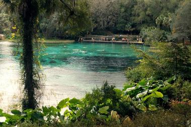 Rainbow Springs State Park