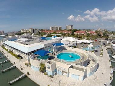 Clearwater Marine Aquarium