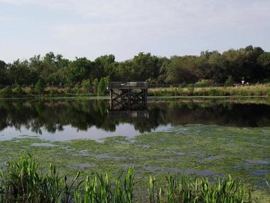 Moccasin Lake Nature Park