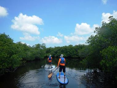 Gulf Coast Kayak