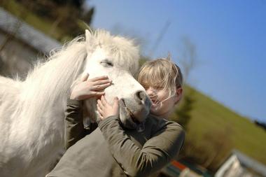 Healing With Horses at Wildrose Horse Farm