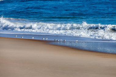 Fenwick Island State Park