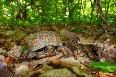 Monte Sano State Park