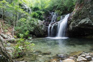 Talladega National Forest