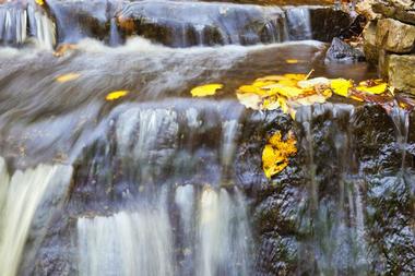 Salt Creek Falls