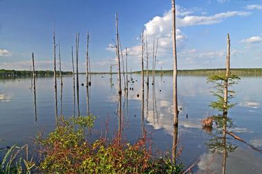 Lake Conway