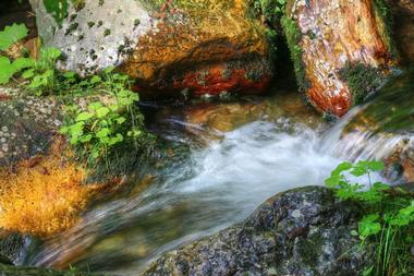 Kings Bluff Falls