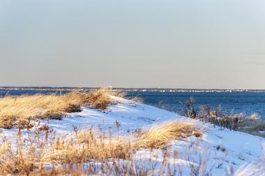 Plum Island Beach, Massachusetts