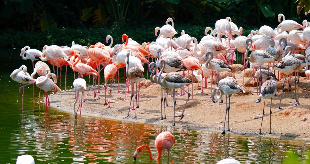 25 Best Big City Zoos