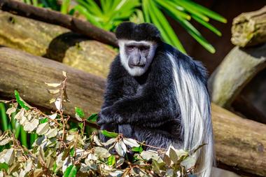 Oregon Zoo