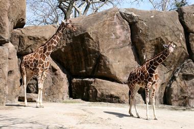 Philadelphia Zoo