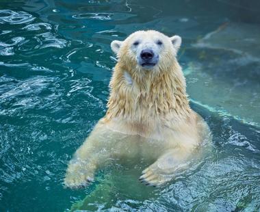 Columbus Zoo and Aquarium