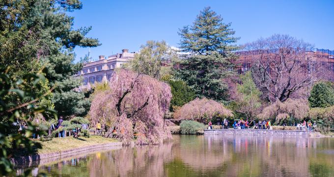 Botanical Gardens for Families