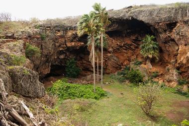 Makauwahi Cave Reserve