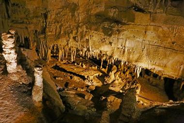 Mammoth Cave National Park