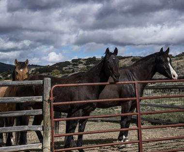 Latigo Ranch