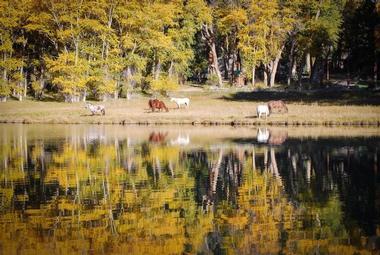 Deer Valley Ranch