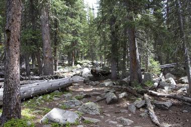 Lost Creek Wilderness