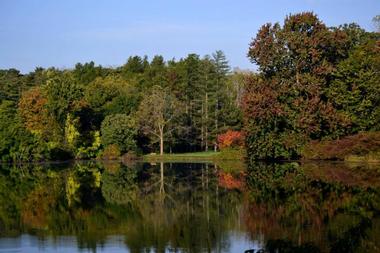 The Morton Arboretum (35 minutes)