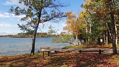 Huron-Manistee National Forests (4 hours)