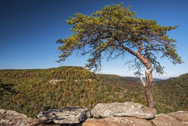 Fall Creek Falls State Park (2 hours)