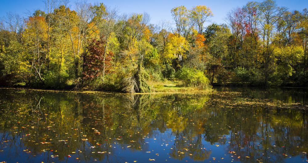 20 Best Delaware Parks