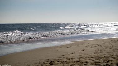 Holts Landing State Park