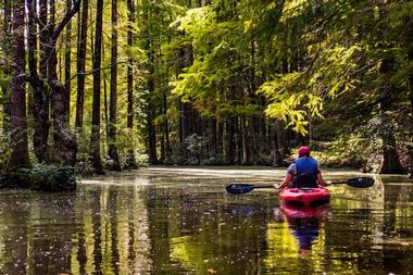 Trap Pond State Park