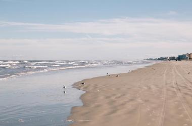 Smyrna Dunes Park (New Smyrna Beach)