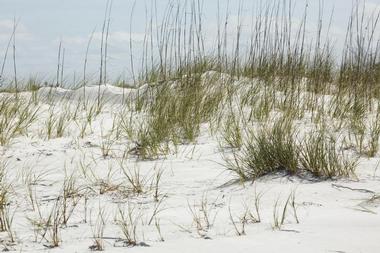 Fort De Soto Park (Tierra Verde)