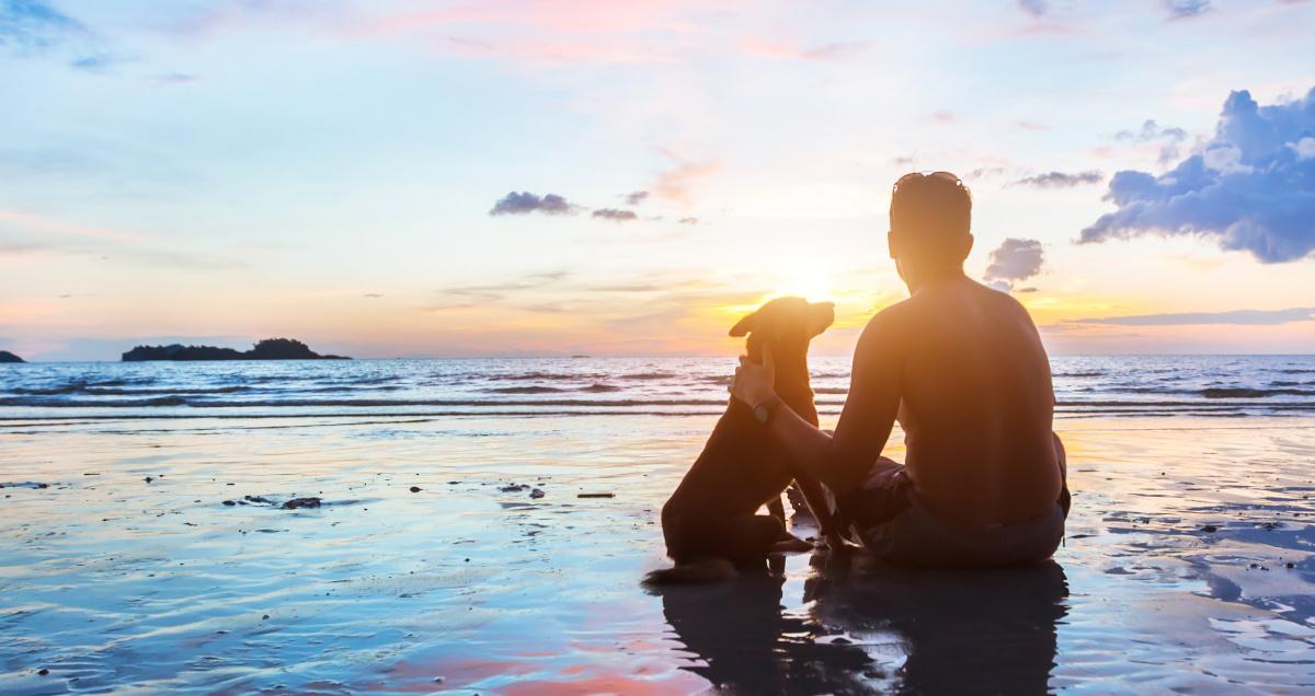 15 Best Dog-Friendly Beaches on the Gulf Coast 