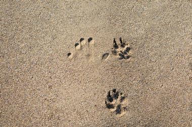 Port Jefferson Public Beach and Dog Park - NY