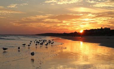 Best South Carolina beaches for couples: Kiawah Island