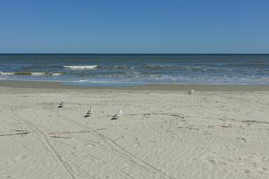 Best South Carolina beach with kids: Hilton Head Island