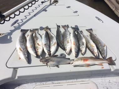 Underdog Fishing Charters, Mobile