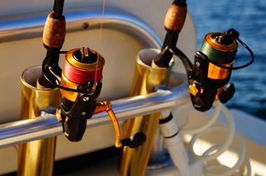 Reel Sensation Fishing Charters, Milwaukee