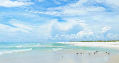 25 Best Florida Gulf Coast Beaches