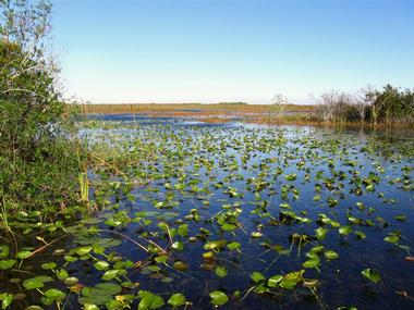 Lake Harris